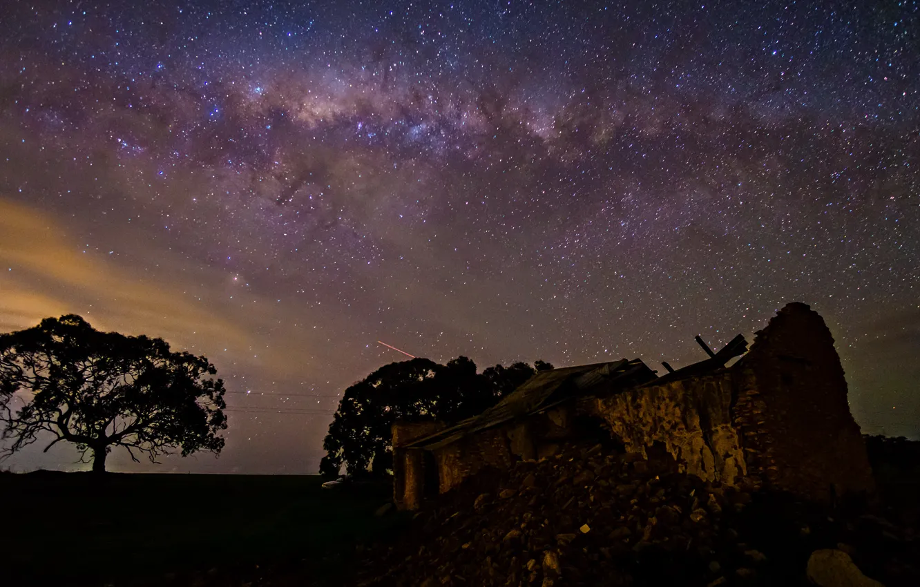 Photo wallpaper space, stars, trees, night, space, ruins, the milky way