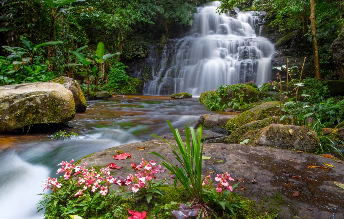 Photo wallpaper forest, landscape, flowers, river, rocks, waterfall, summer, Thailand