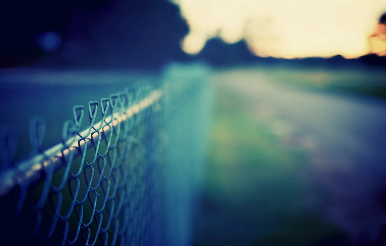 Photo wallpaper road, greens, the sky, grass, macro, background, mesh, the fence