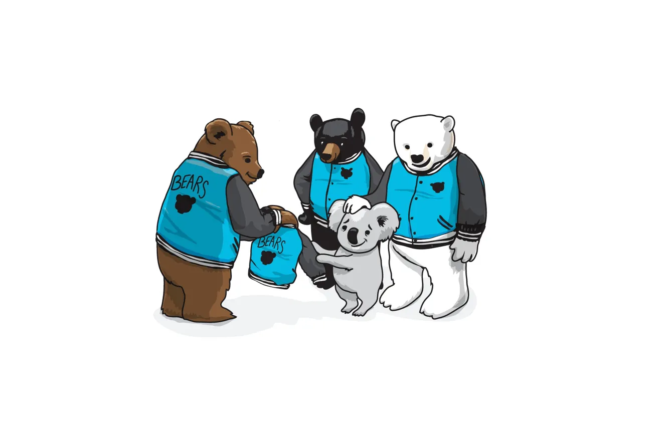 Photo wallpaper white, bear, art, jacket, company, grizzly, brown, Koala