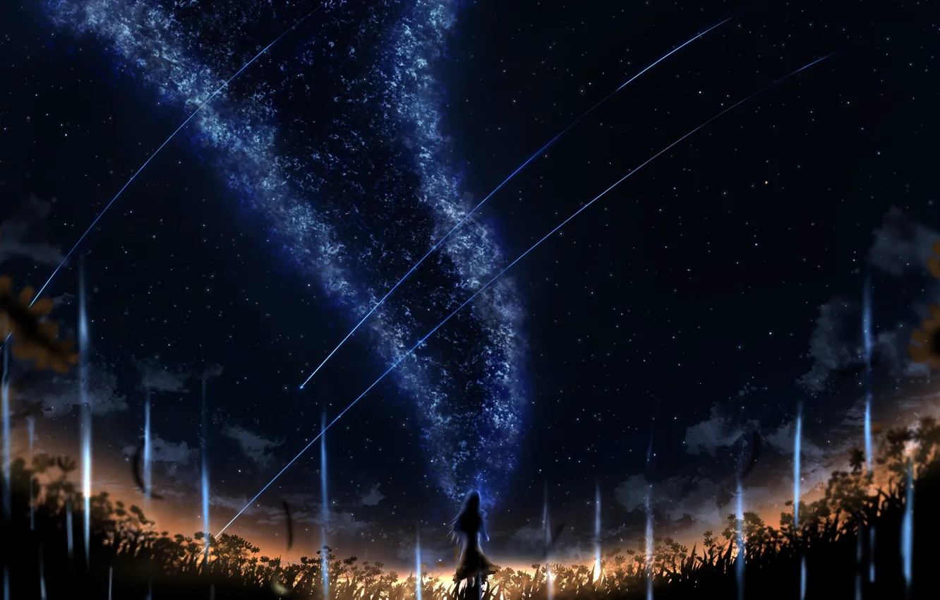 Photo wallpaper field, girl, night