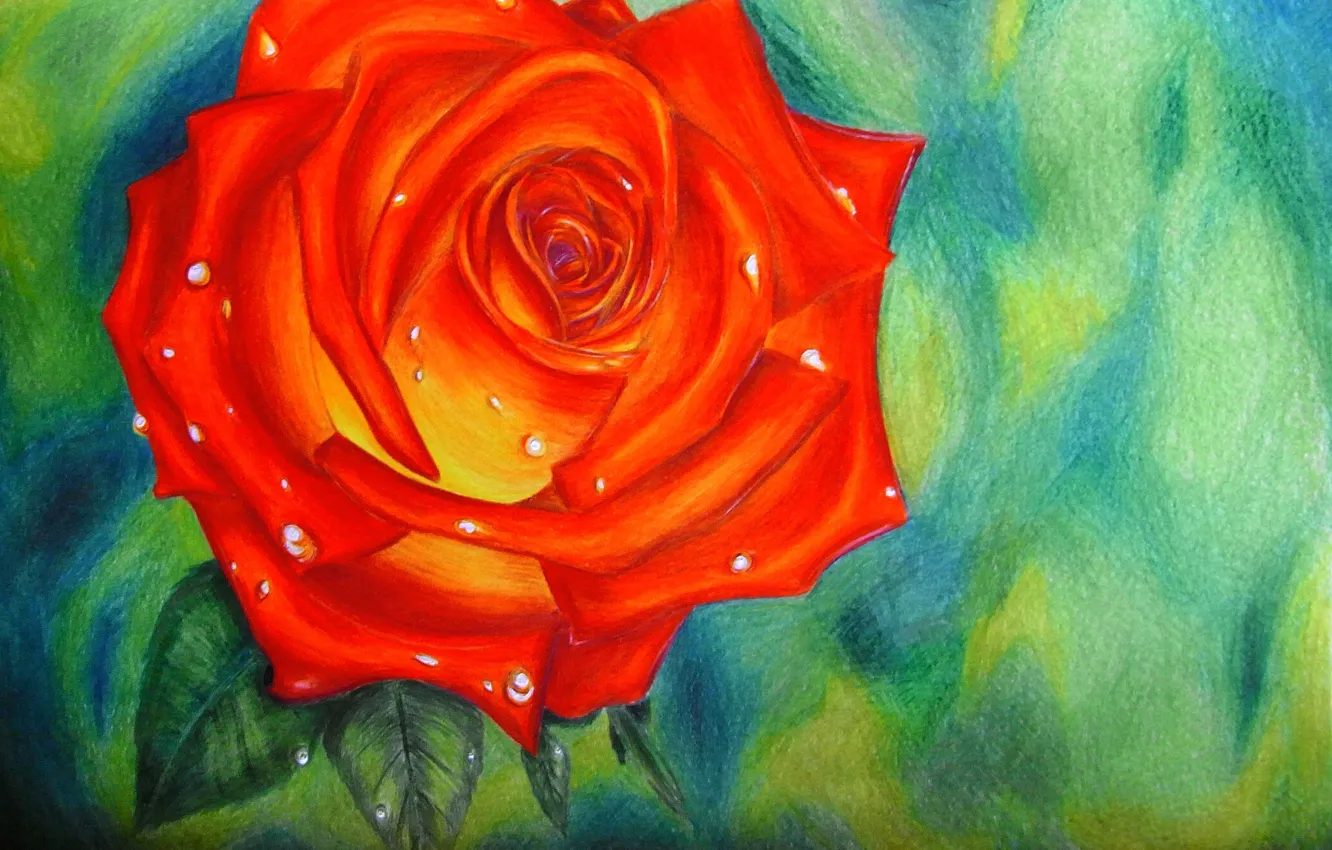 Photo wallpaper drops, red, figure, roses, rose, scarlet, Aileen