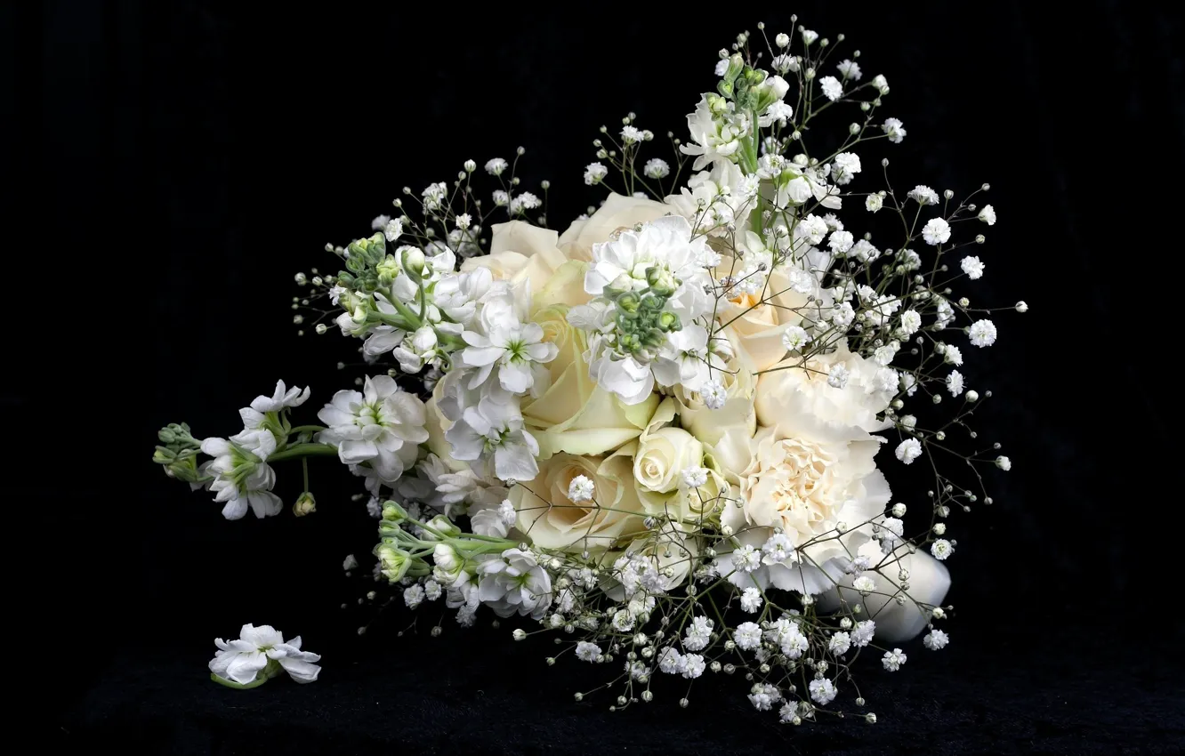 Photo wallpaper flowers, roses, bouquet, black background, white flowers, gypsophila, soft petals