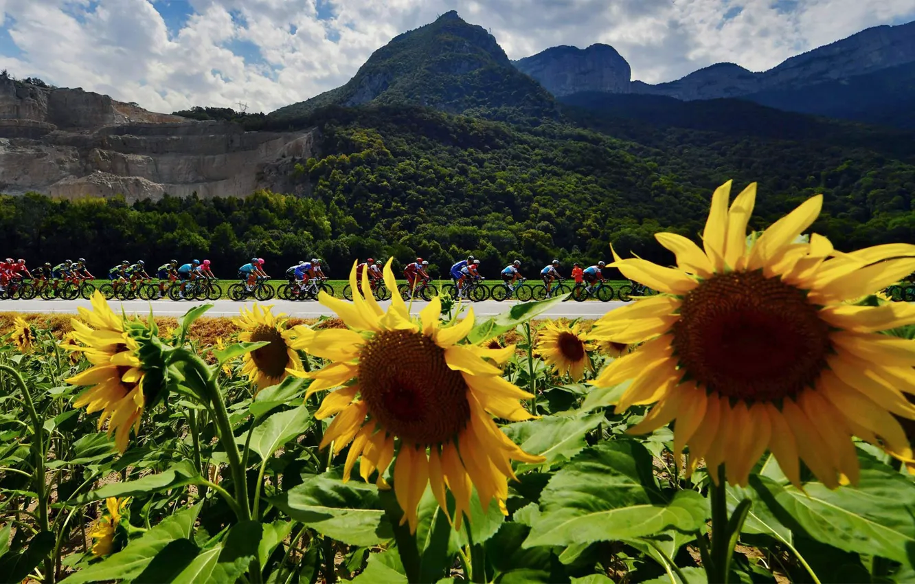 Photo wallpaper France, Cycling, The peloton, The tour de France, 2018 year, Valence, stage of honea