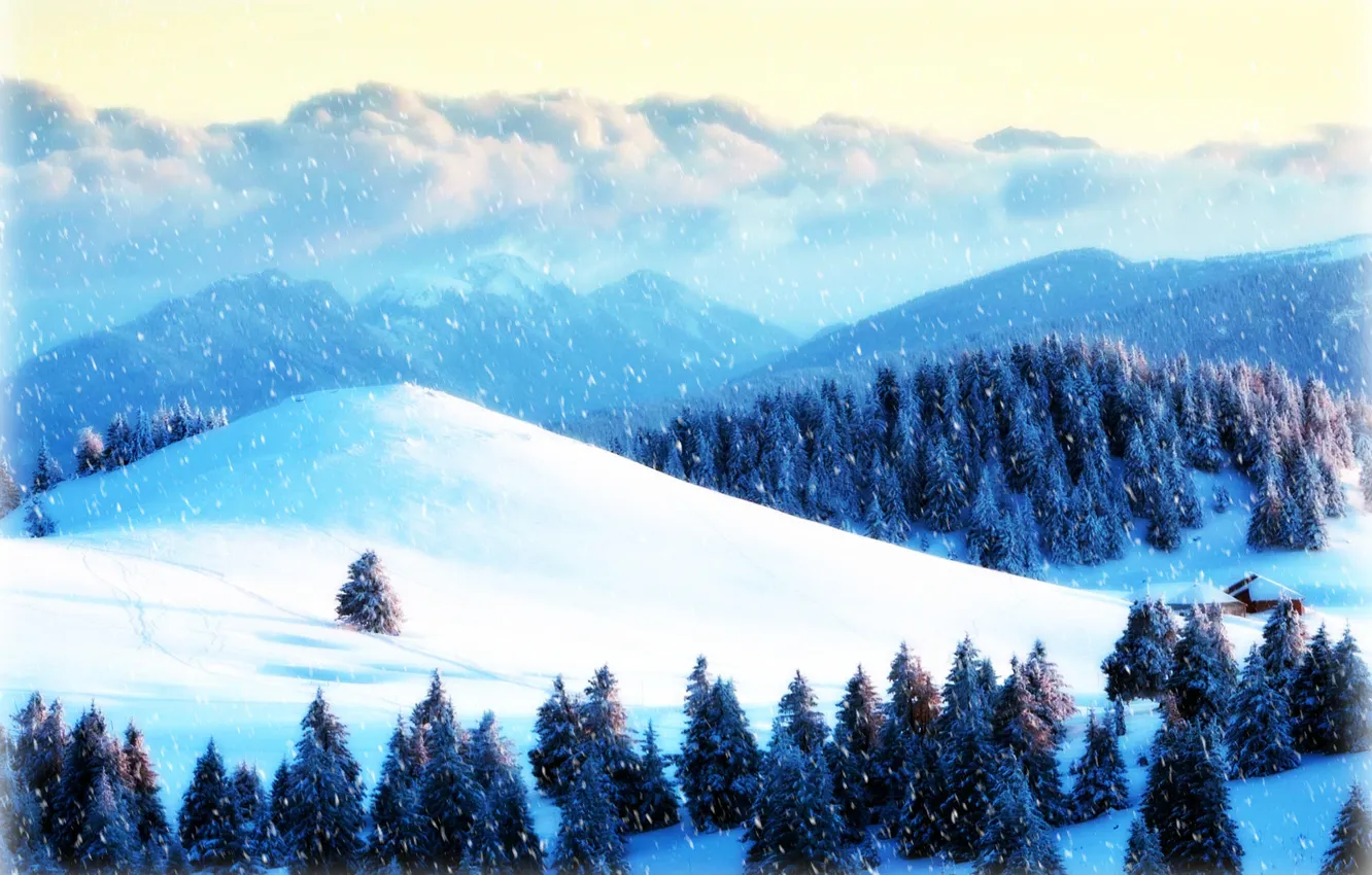 Photo wallpaper winter, forest, snow, mountains