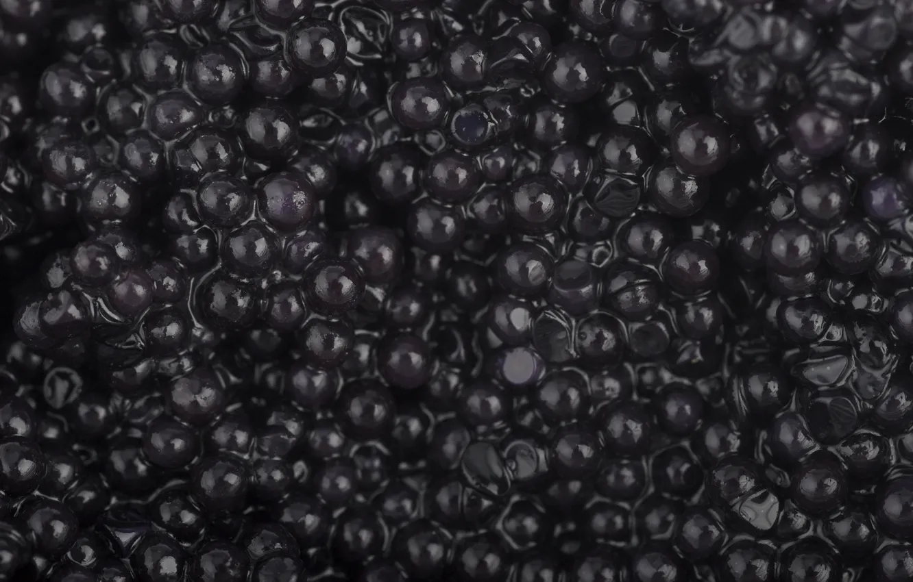 Photo wallpaper black, caviar, granular