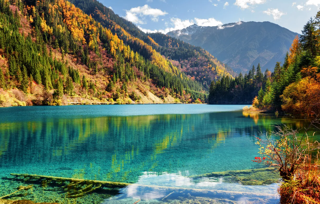 Photo wallpaper autumn, forest, the sun, trees, mountains, lake, beauty, China