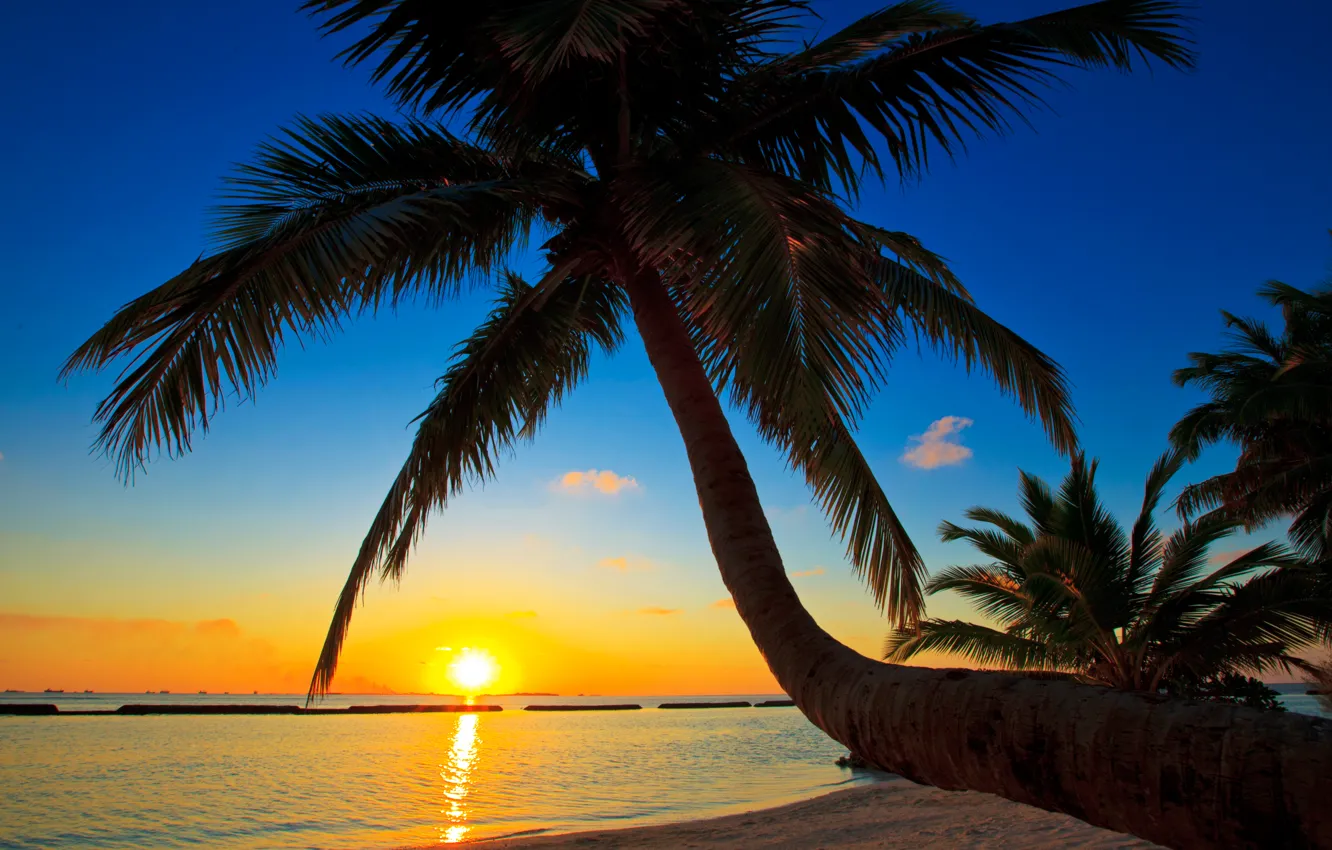 Photo wallpaper sea, the sky, the sun, sunset, Palma, the ocean, the Maldives