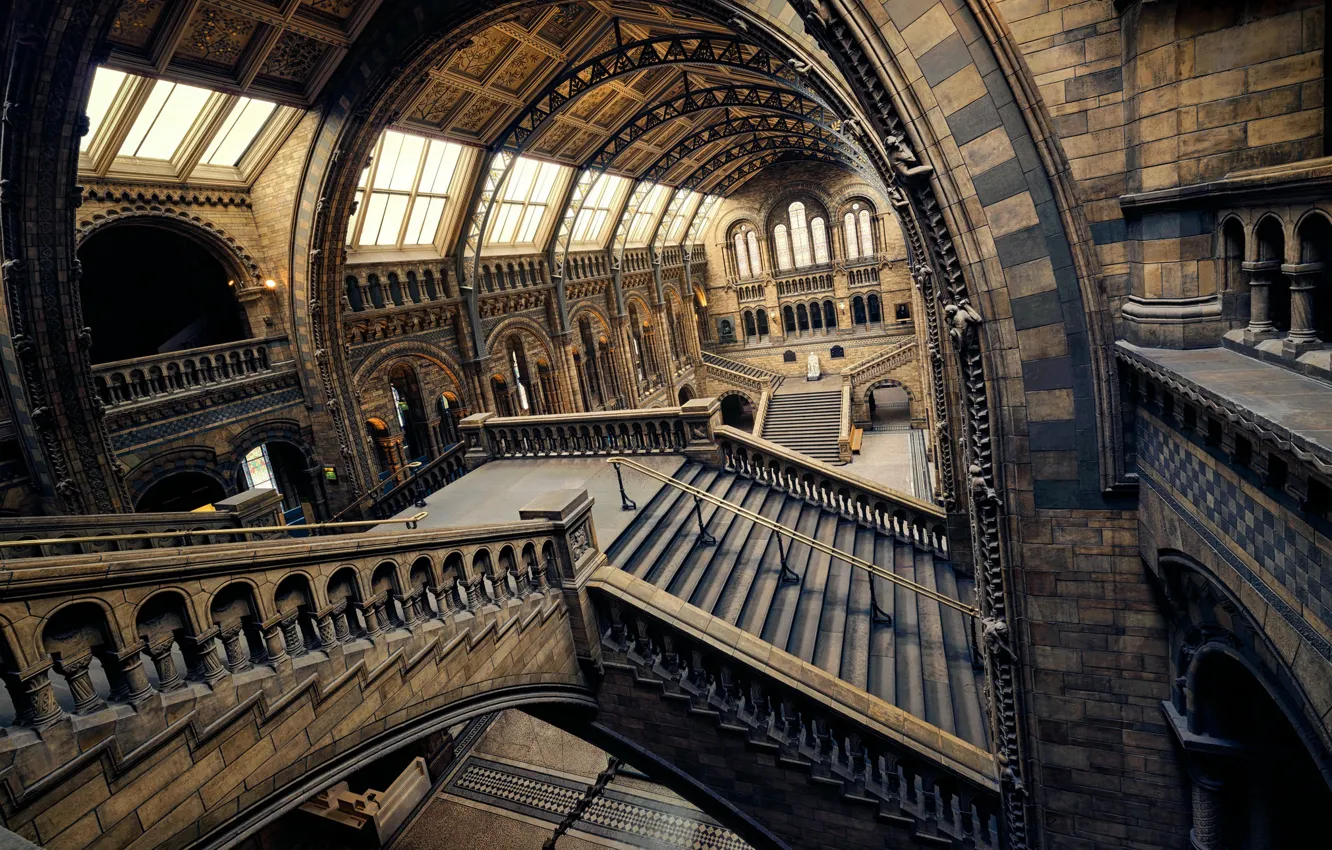 Photo wallpaper England, London, ladder, hall, Museum of natural history