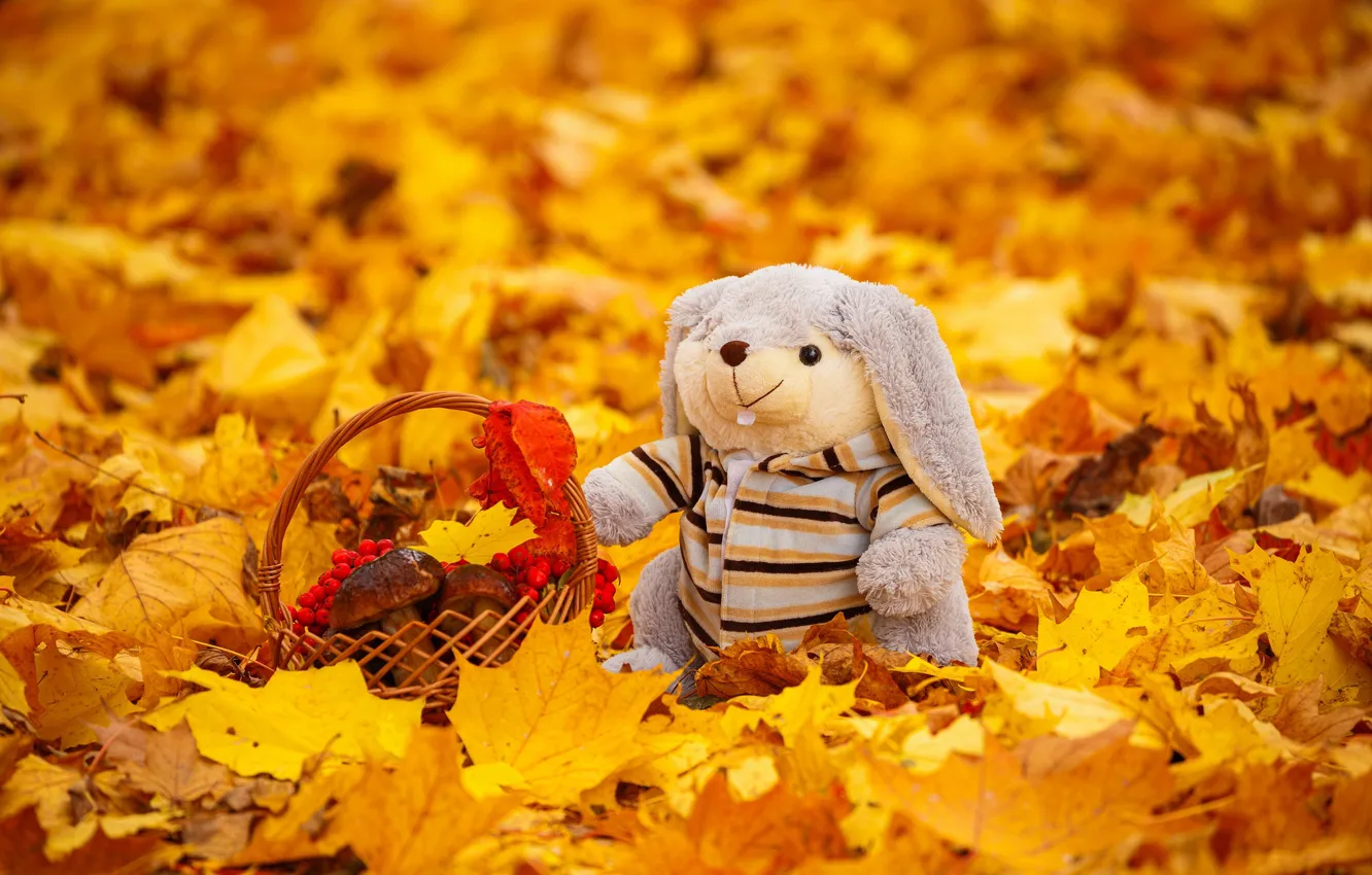 Photo wallpaper autumn, leaves, toy, krinke