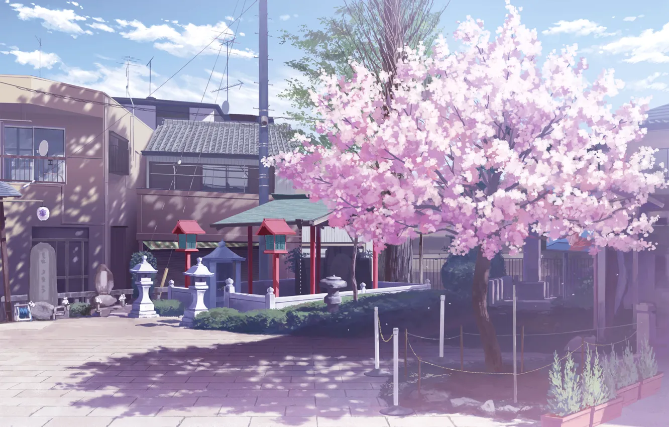 Photo wallpaper clouds, street, home, shadow, Sakura, lights, Japan, flowering
