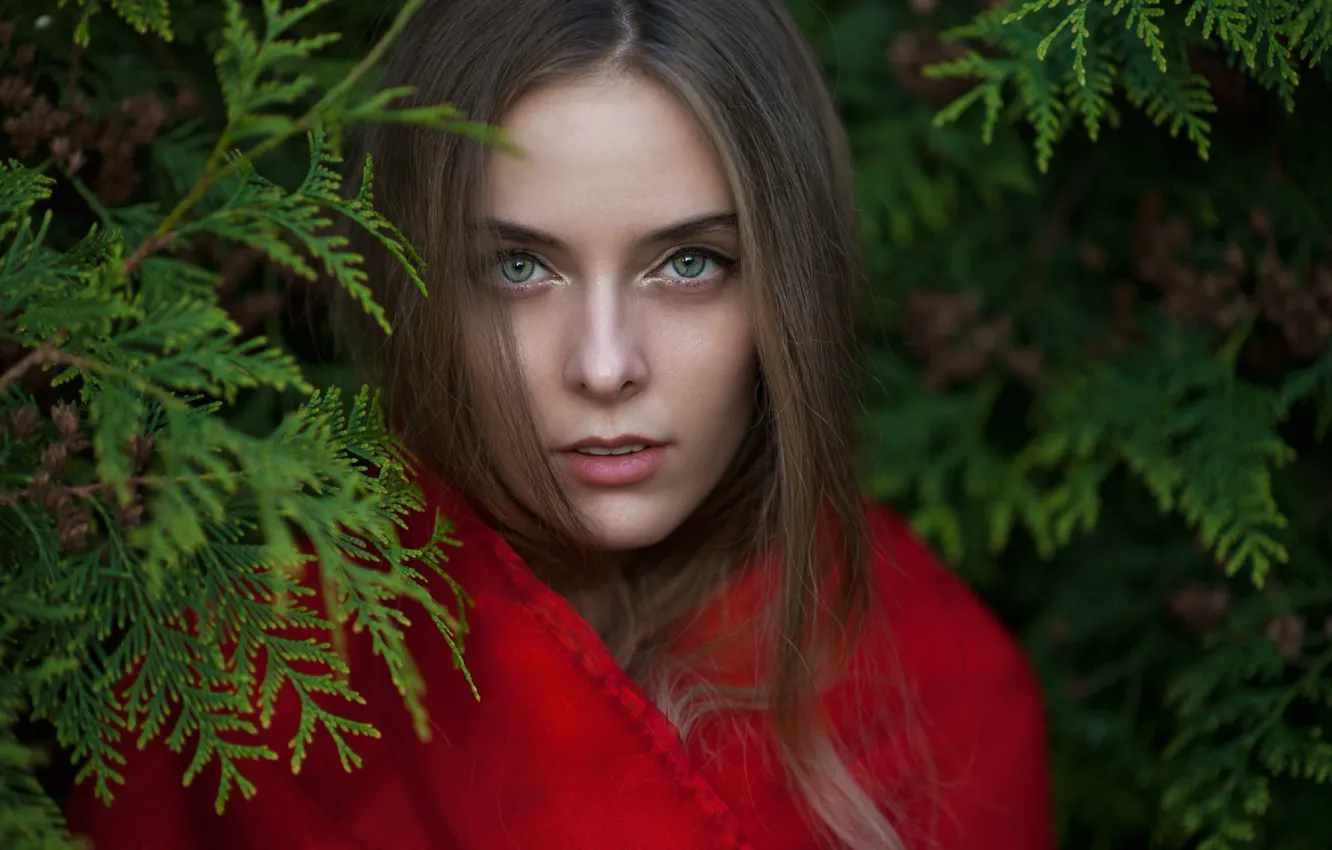 Photo wallpaper eyes, girl, face, lips, girl, beautiful, beautiful, lips