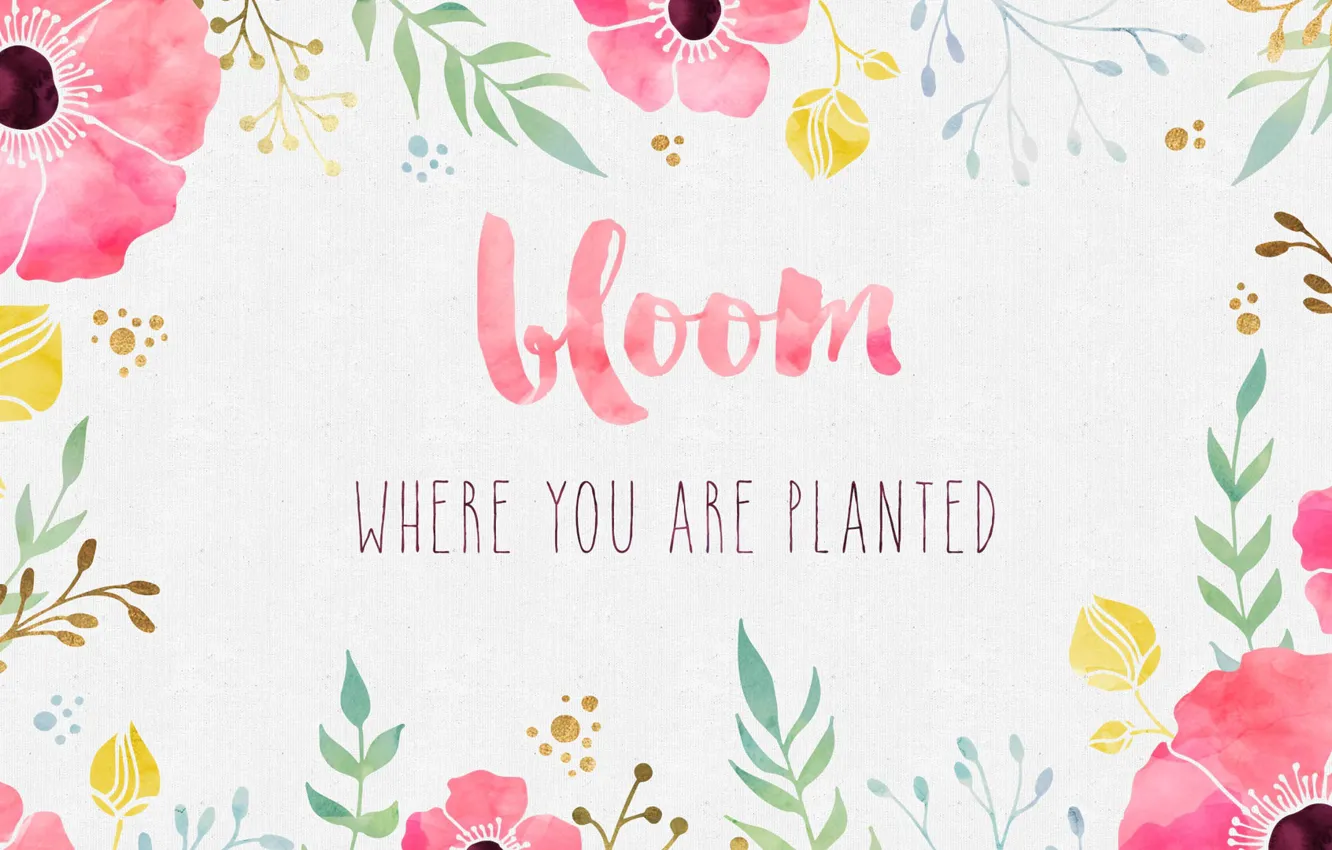 Photo wallpaper flowers, background, paint, Maki, watercolor, the phrase, quote, inspiration