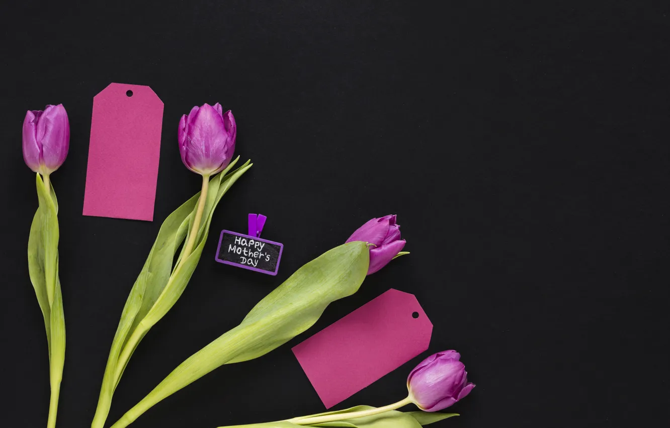 Photo wallpaper flowers, bouquet, tulips, flowers, tulips, purple, Happy, mother's Day