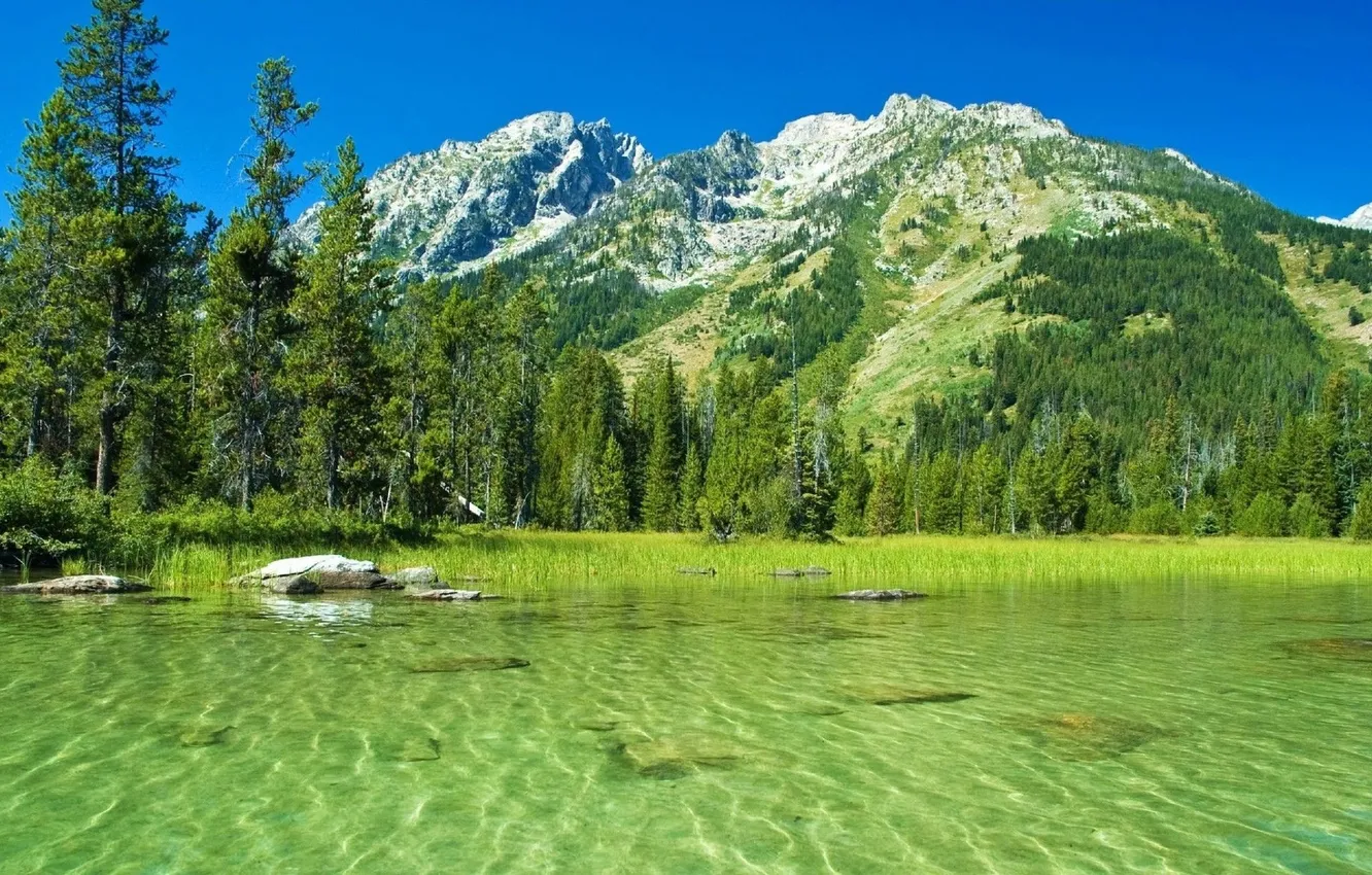 Photo wallpaper forest, freedom, water, trees, mountains, river, Austria