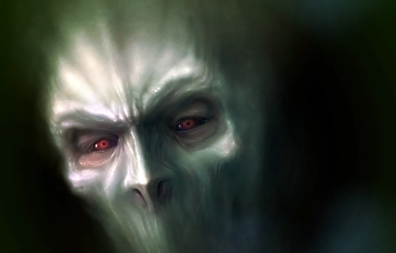 Photo wallpaper eyes, look, face, background, dark, head, nose, CHEEKBONES