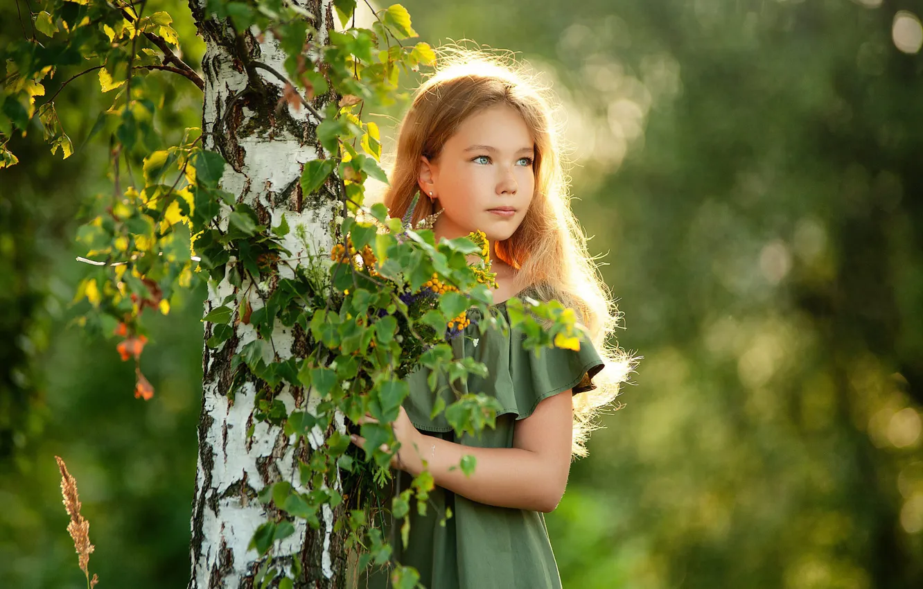 Photo wallpaper dress, girl, birch, Sergey Piltnik