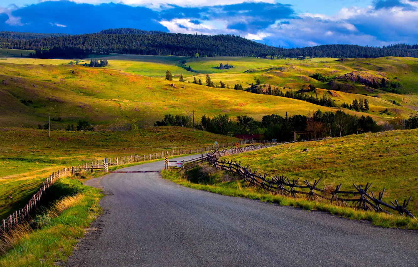 Photo wallpaper road, field, autumn, forest, the sky, clouds, light, mountains