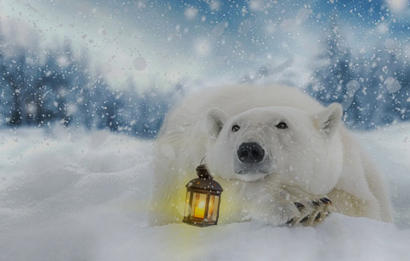 Photo wallpaper winter, snow, graphics, lantern, polar bear, illustration, digital art