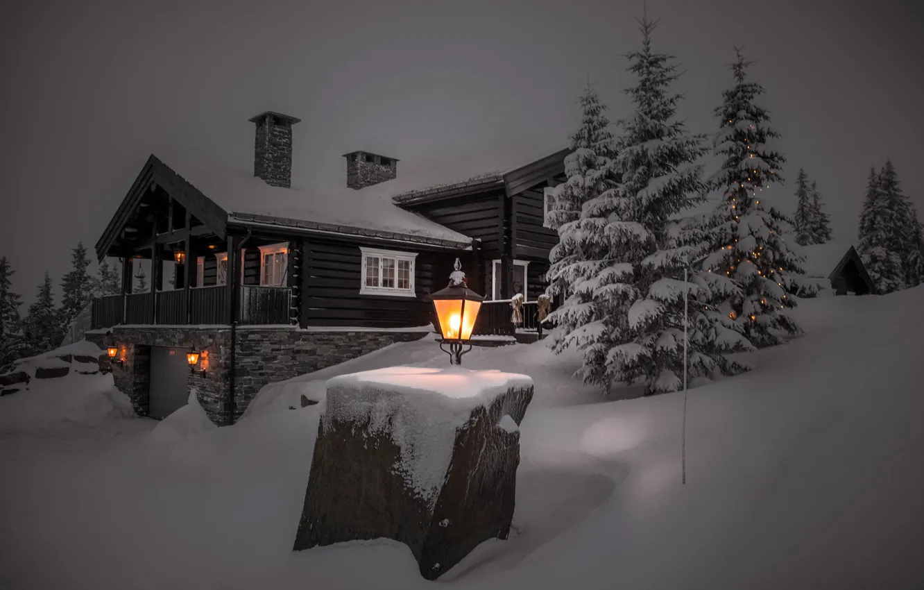 Photo wallpaper winter, light, snow, trees, landscape, night, nature, house