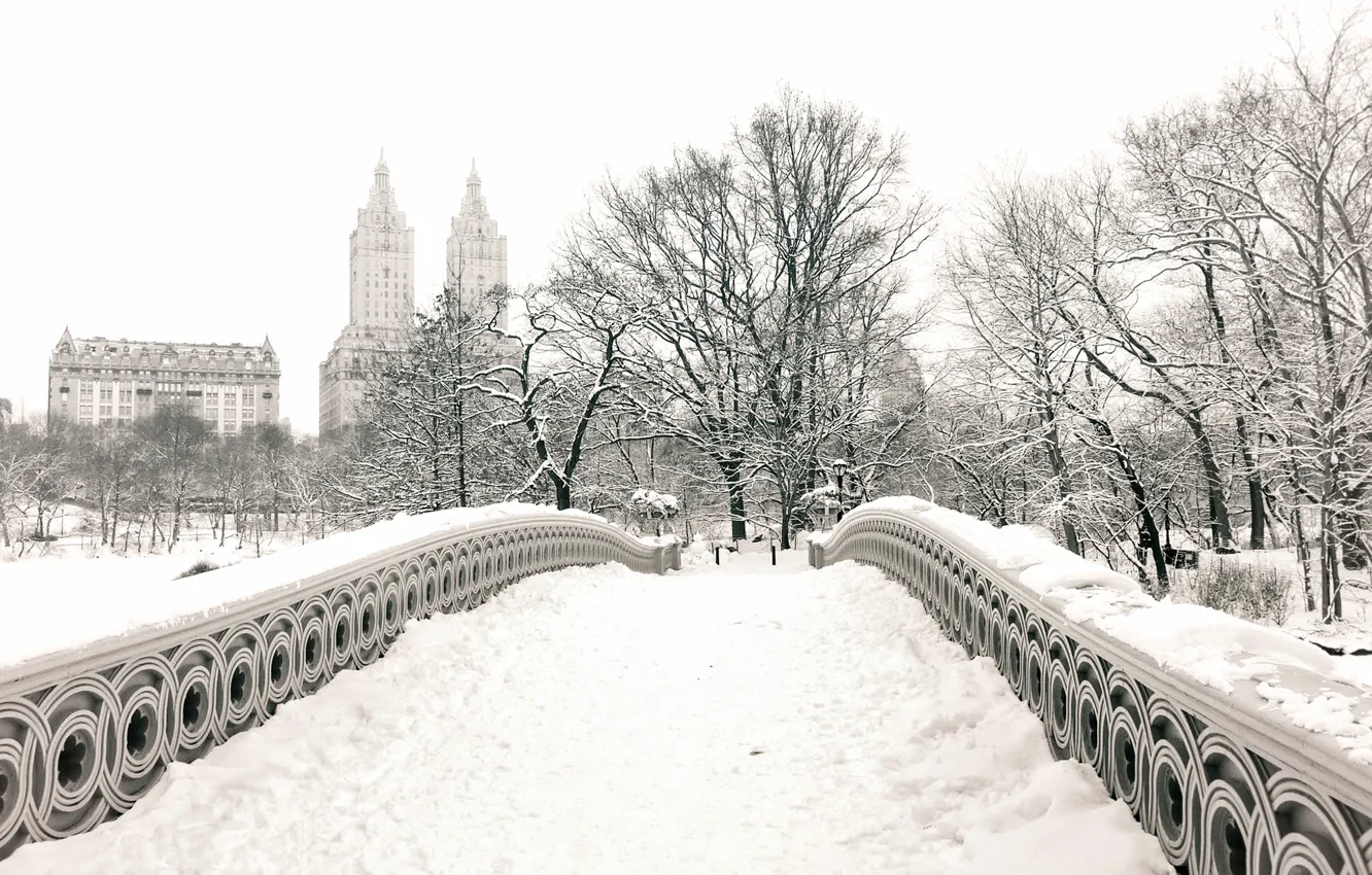 Photo wallpaper winter, snow, trees, the city, Park, building, home, New York