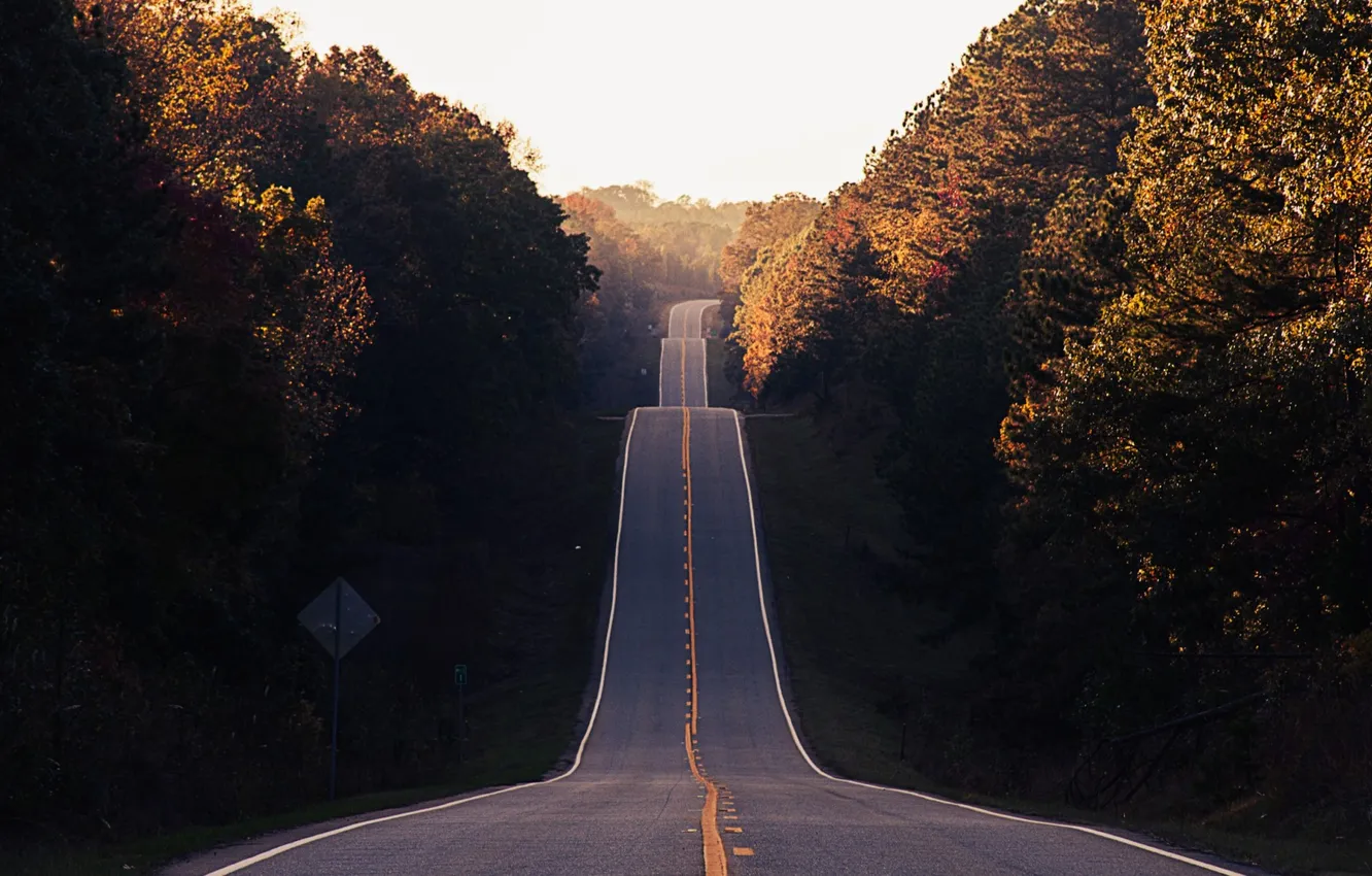 Photo wallpaper road, forest, the sky, clouds, trees, landscape, sunset, nature