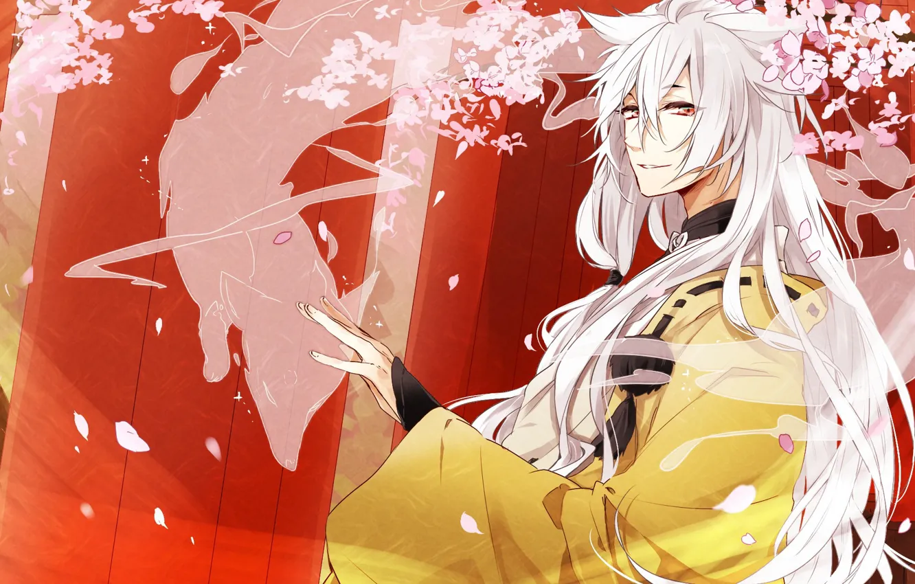 Photo wallpaper Japanese clothing, Fox ears, cherry blossoms, the Fox-demon, Touken Ranbu, Kogitsunemaru, long white hair, torii …