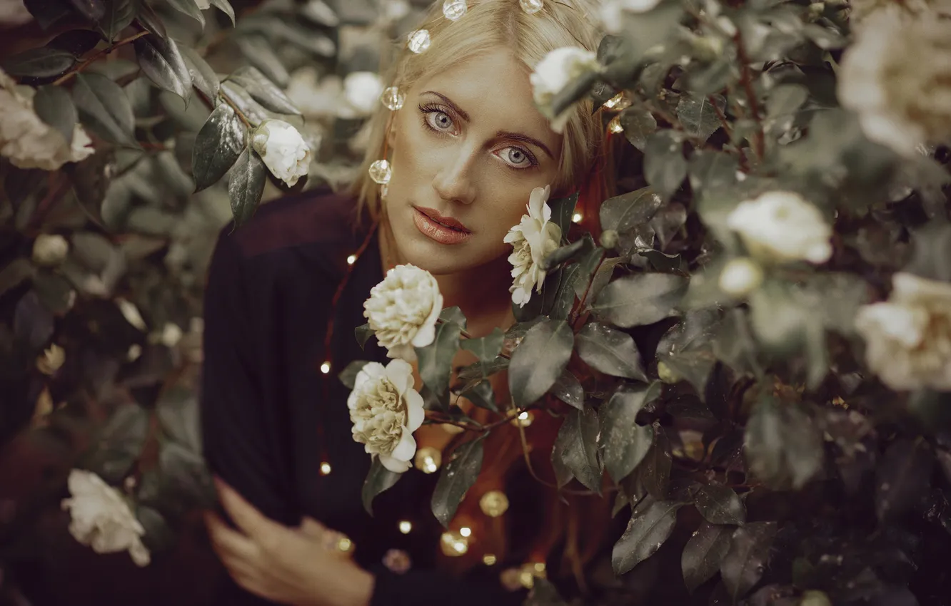 Photo wallpaper summer, eyes, girl, flowers, face, background, hair