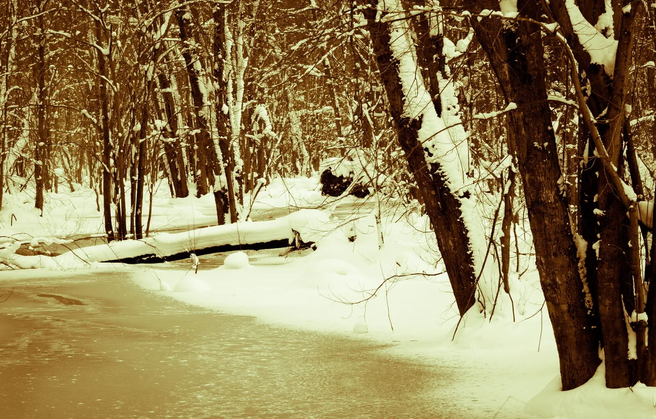 Photo wallpaper winter, snow, landscape