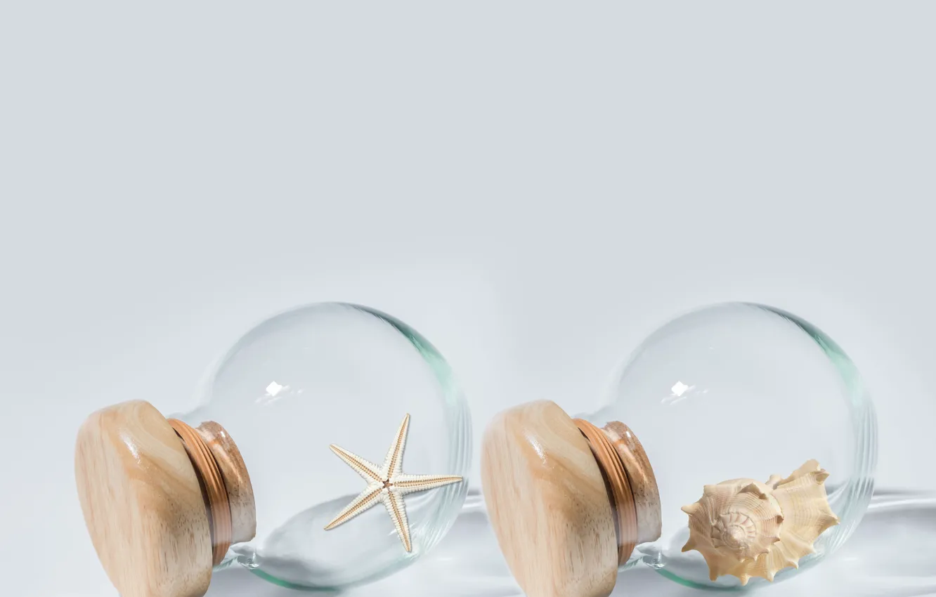 Photo wallpaper decoration, starfish, bottle, sea shell