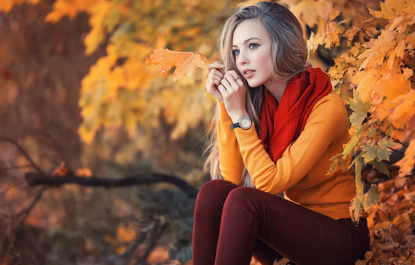 Photo wallpaper autumn, girl, foliage