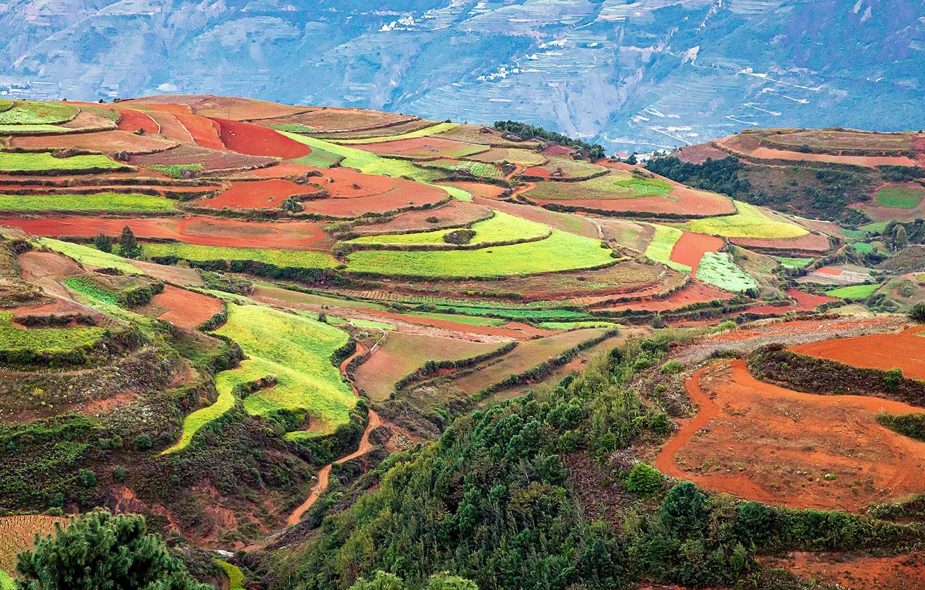 Photo wallpaper China, field, Dongchuan