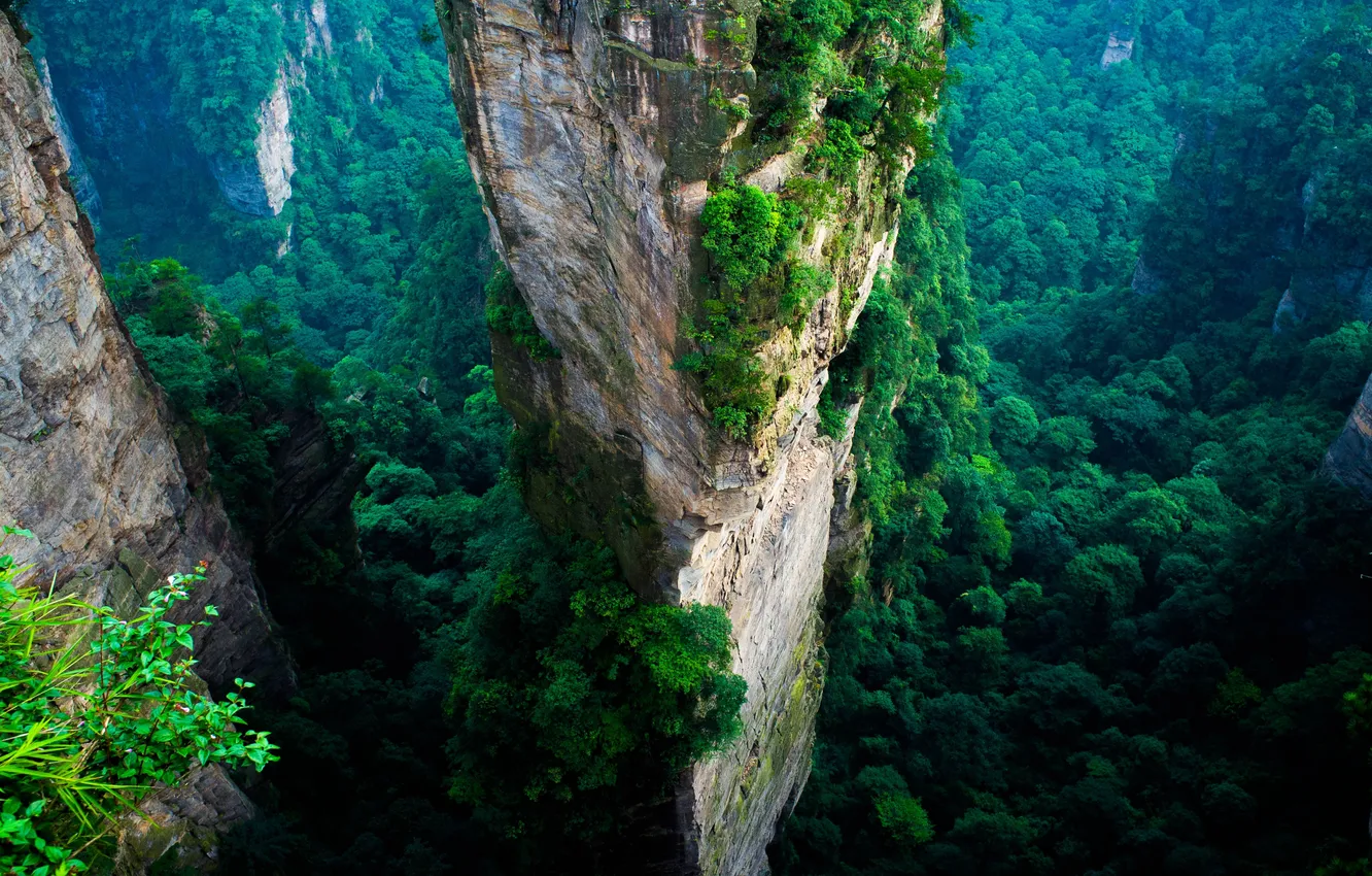 Photo wallpaper mountains, tabs, Zhangjiajie National Park