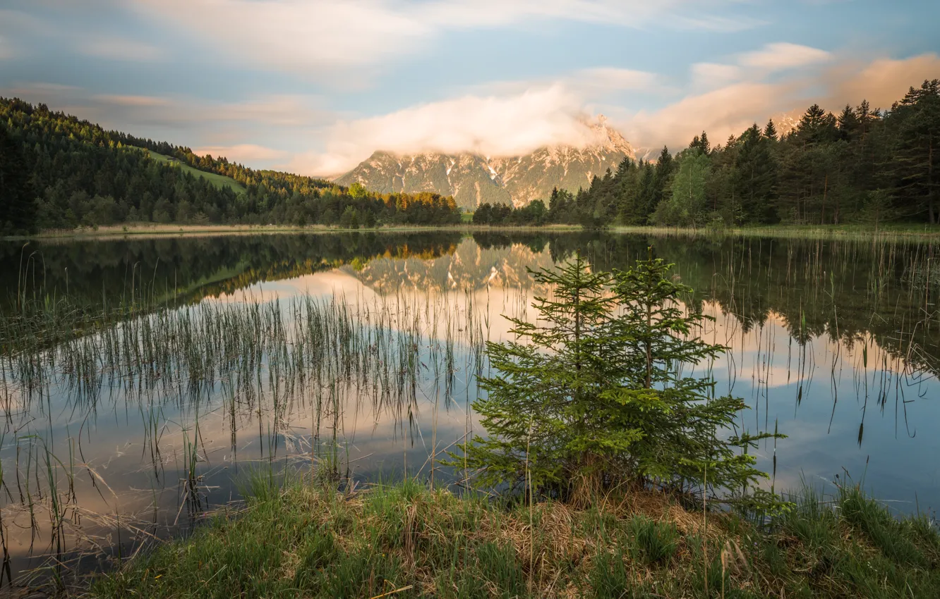 Photo wallpaper forest, the sky, grass, clouds, landscape, mountains, nature, lake
