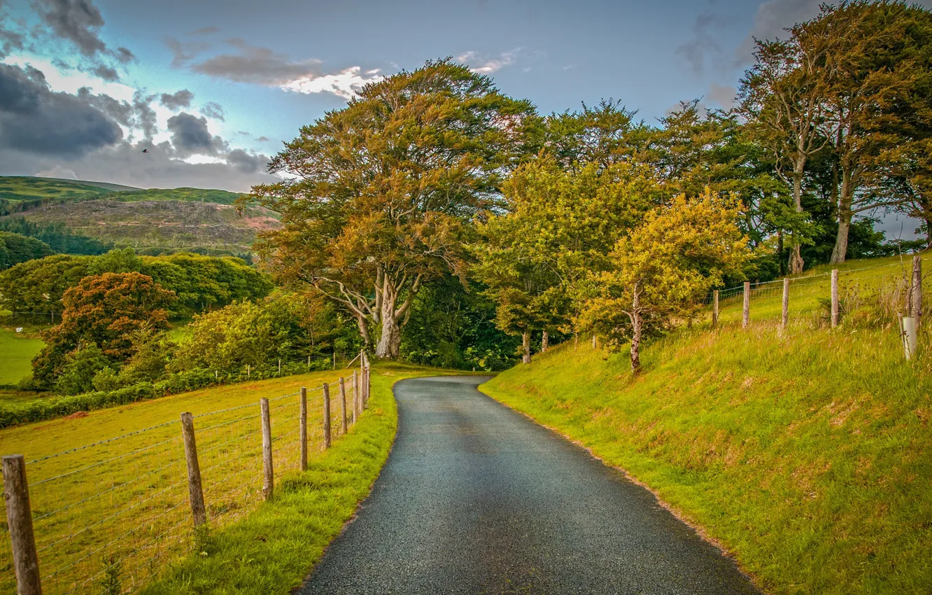 Photo wallpaper road, field, autumn, the sky, grass, clouds, trees, hills