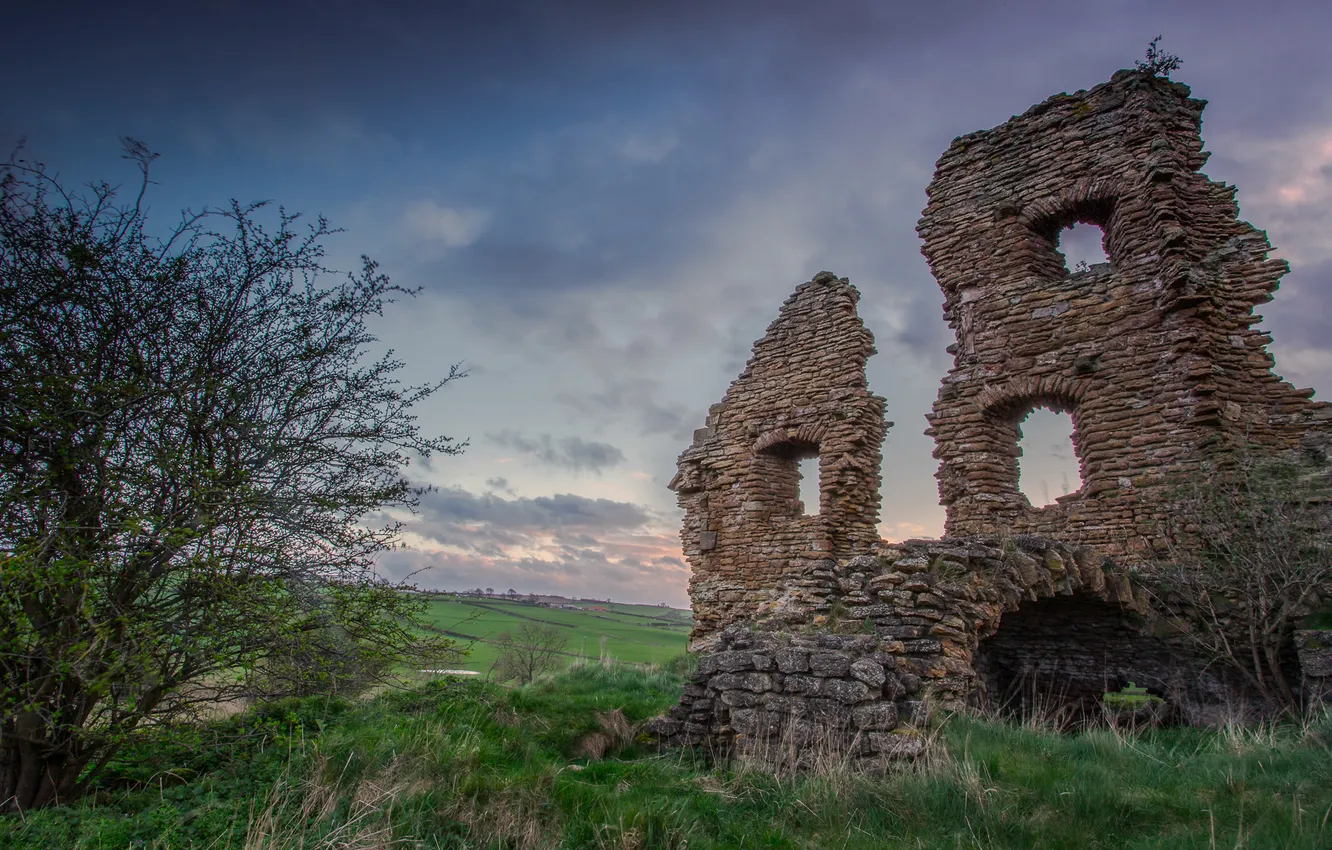 Photo wallpaper trees, tower, Ludworth Tower