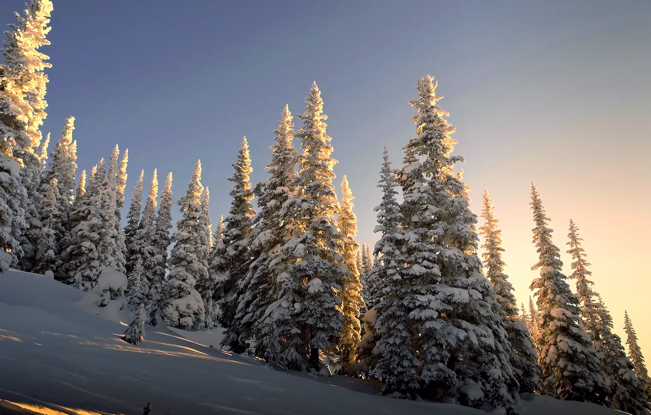 Photo wallpaper winter, snow, nature, ate, slope