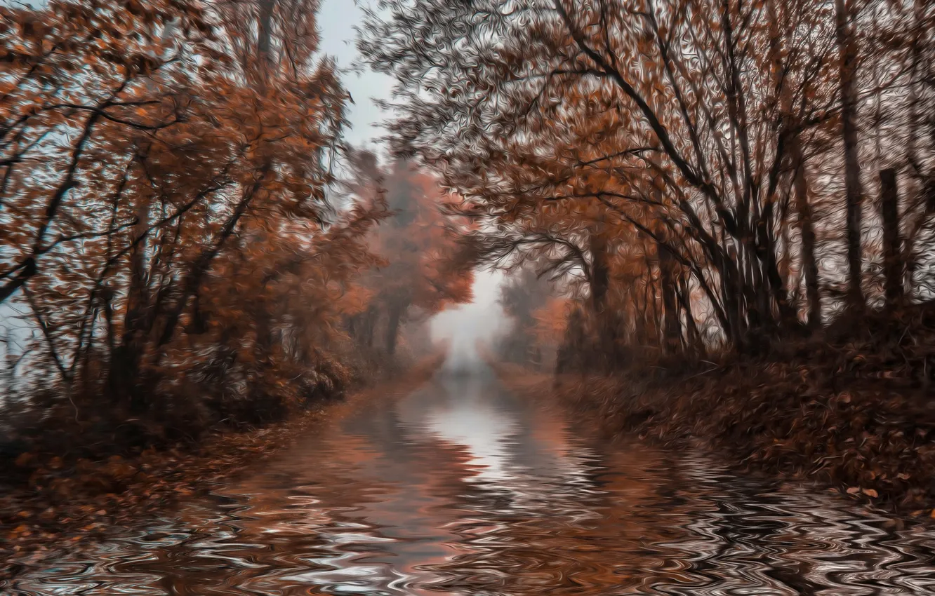 Photo wallpaper autumn, nature, river
