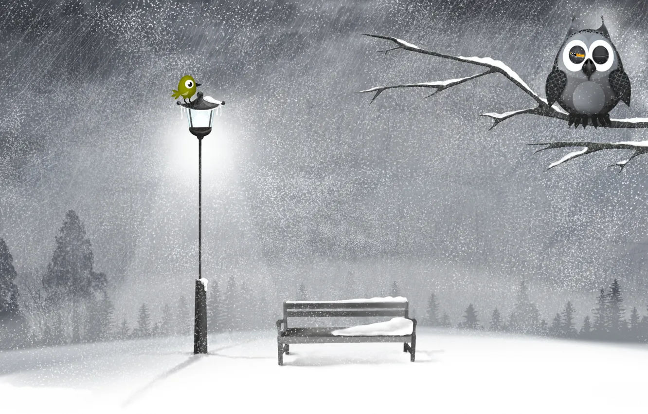 Photo wallpaper winter, snow, night, tree, owl, shop, lantern, bird