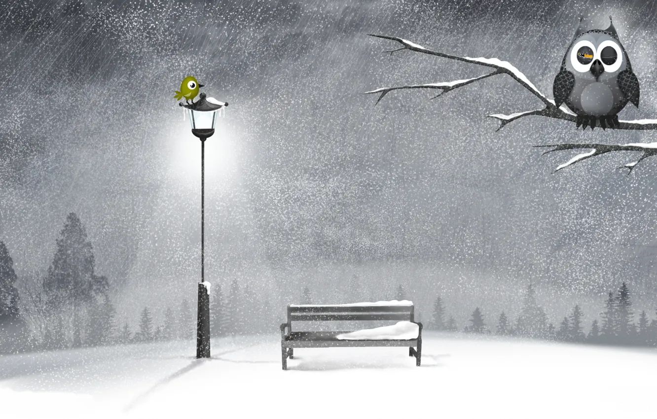 Photo wallpaper winter, snow, trees, night, owl, shop, lights, bird