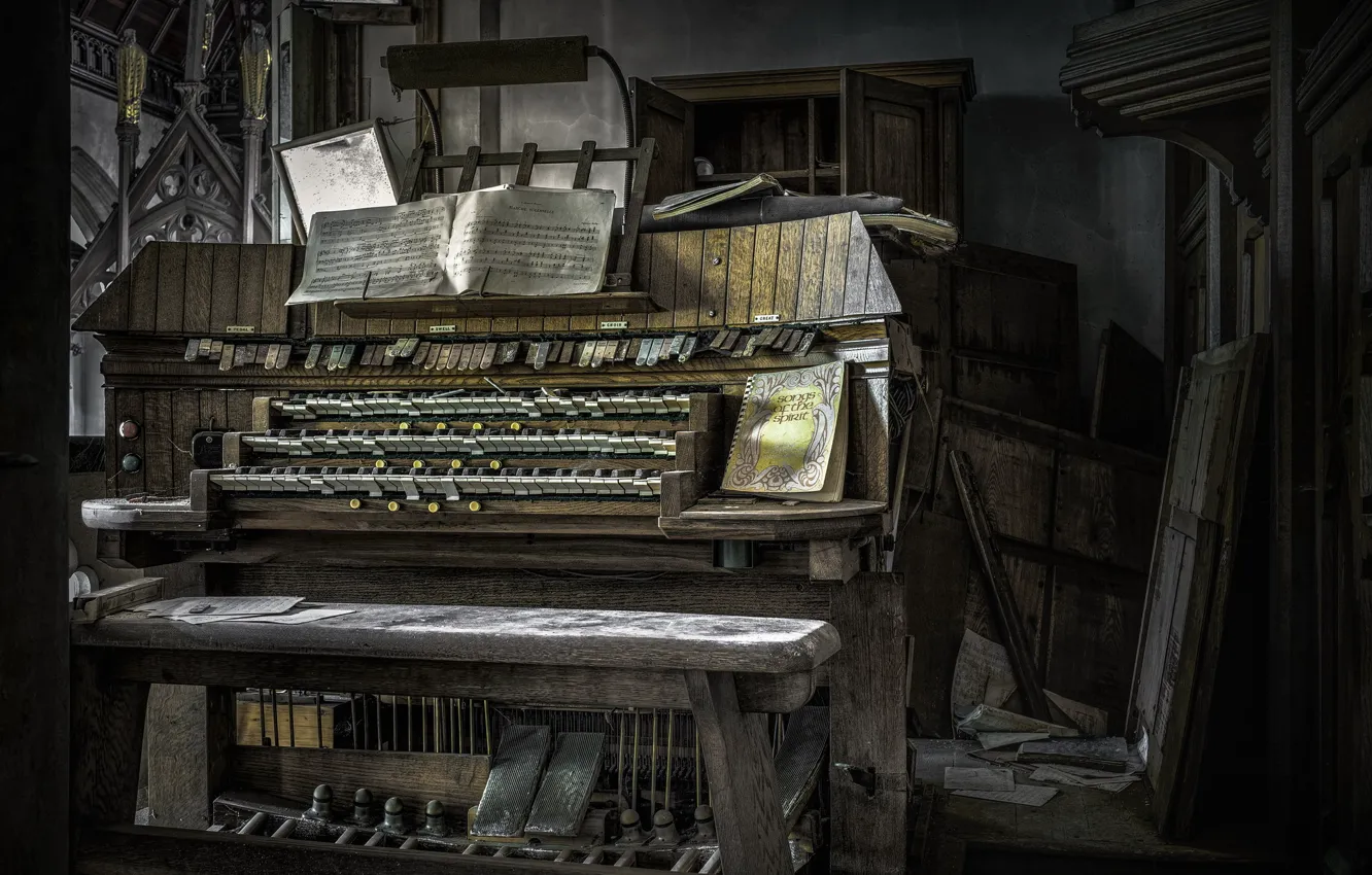 Photo wallpaper notes, music, body