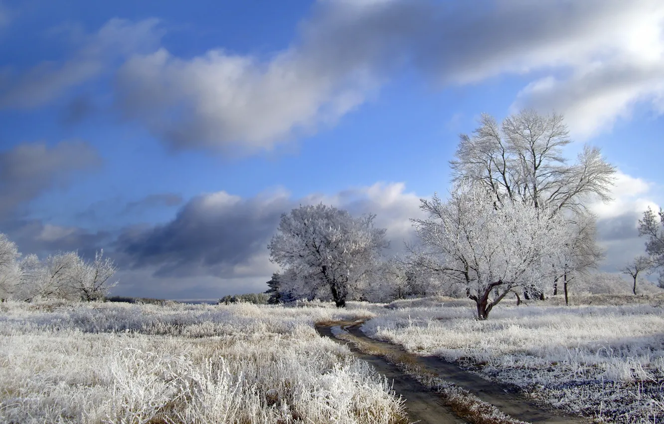 Photo wallpaper frost, road, field, nature