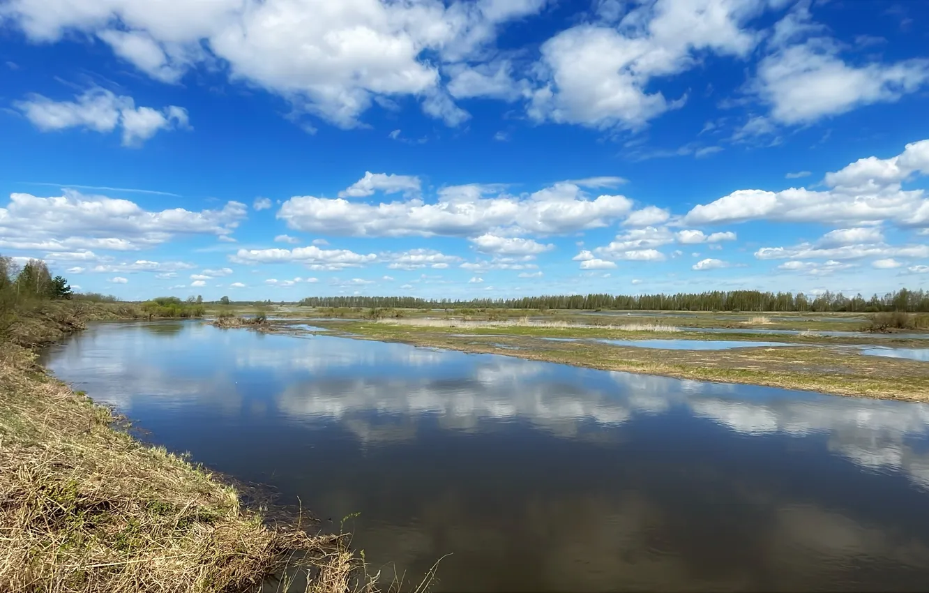 Photo wallpaper field, river, Kotorosl, Tsibaki
