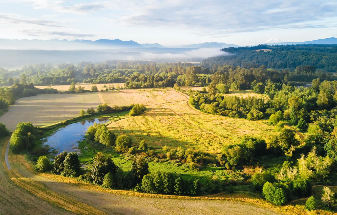 Photo wallpaper summer, light, fog, river, morning