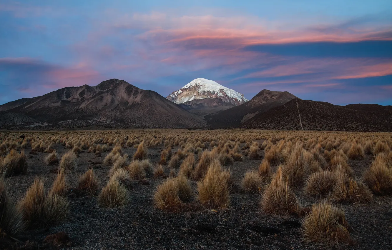 Photo wallpaper the sky, snow, mountains, the evening, the bushes, Bolivia