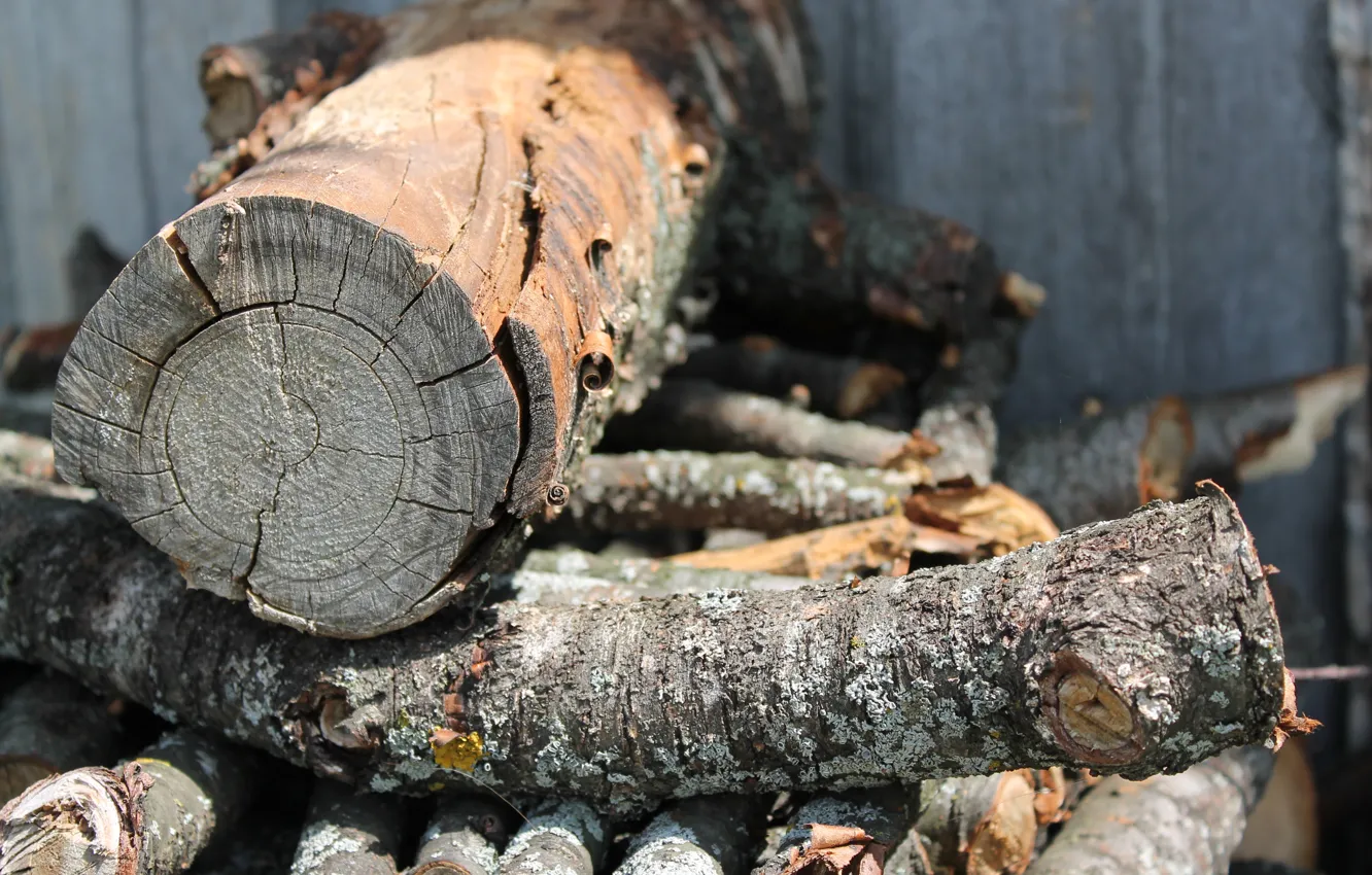 Photo wallpaper village, log, frame, July, 2016