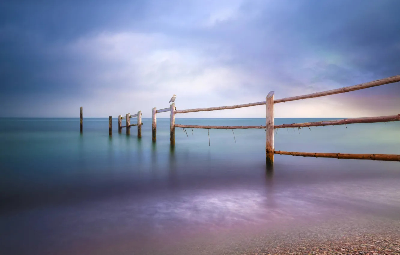 Photo wallpaper sky, sea, landscape, coast, calm, fence, seagull
