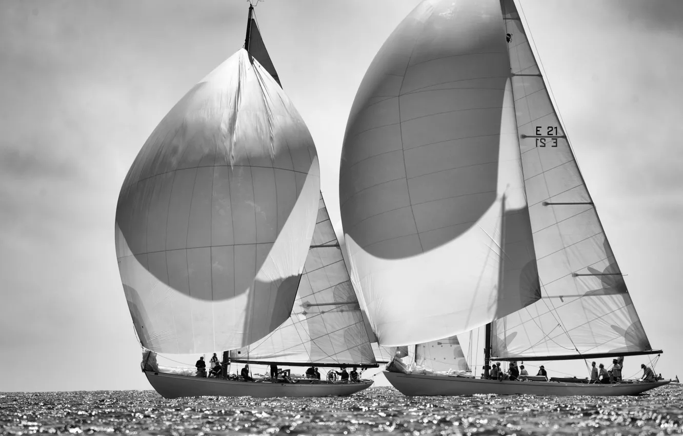 Photo wallpaper sea, photo, sails, black and white, regatta, ahtay
