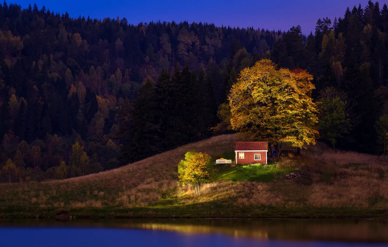 Photo wallpaper forest, grass, trees, night, river, shore, Norway, house