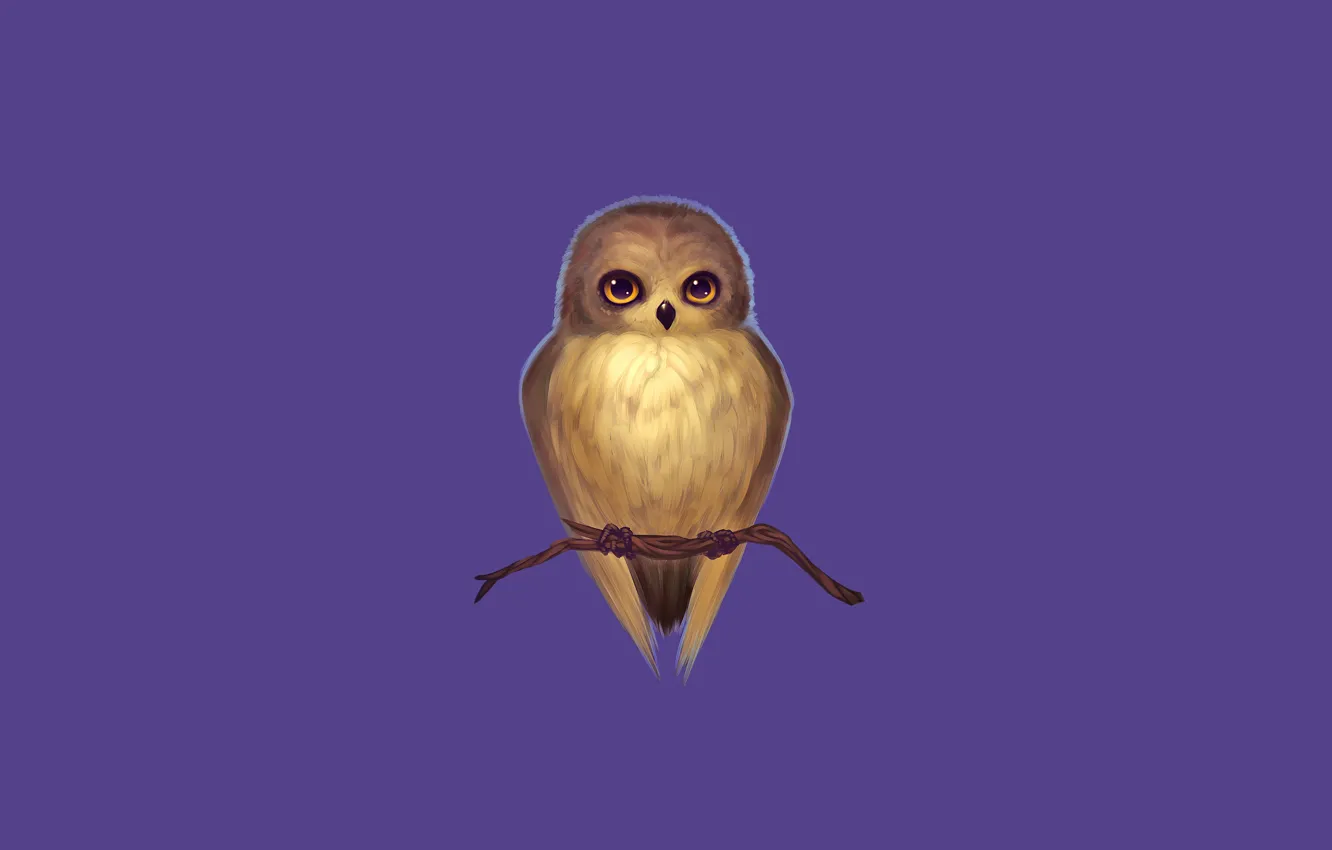 Photo wallpaper purple, owl, bird, branch, owl